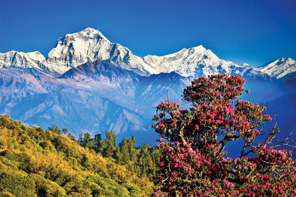 Nepal